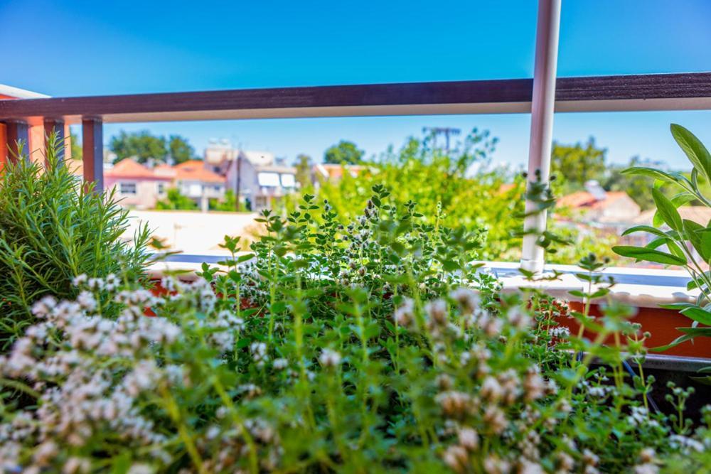 Koukounari Living Spaces Preveza Buitenkant foto